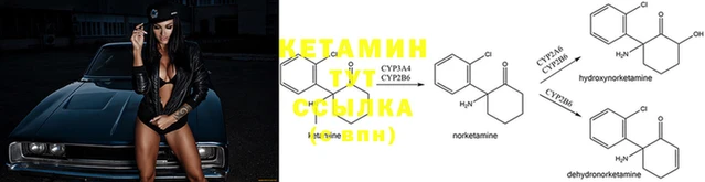 apvp Белокуриха
