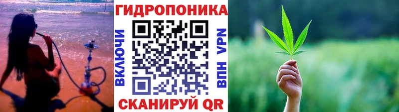 Бошки марихуана Amnesia  Купить где  Хвалынск 